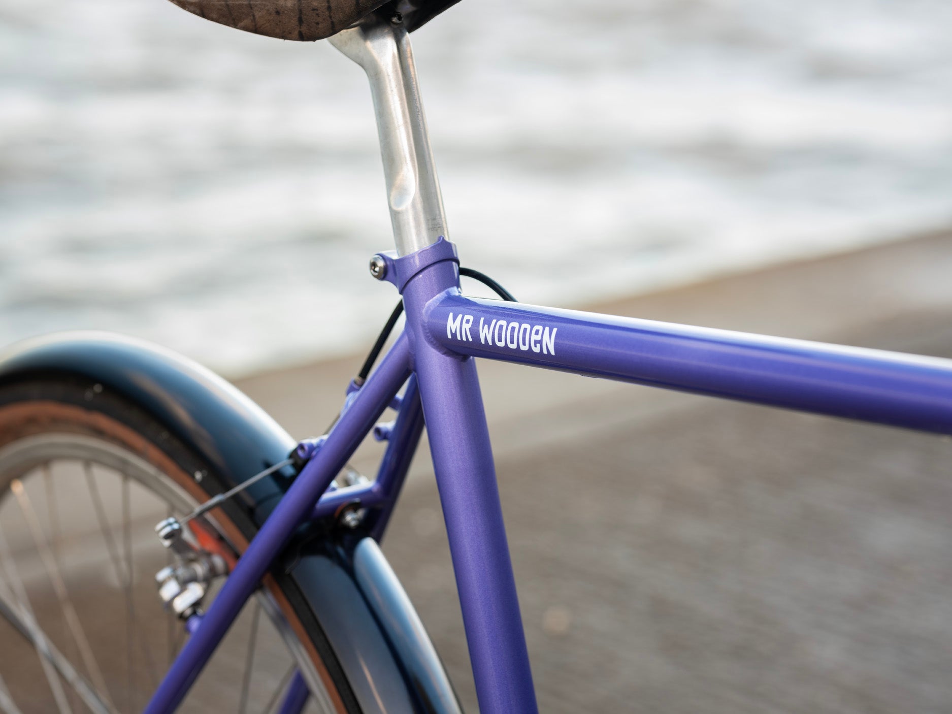 Brother Cycles Mr Wooden touring bike frame kit