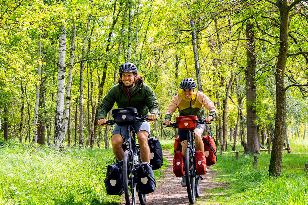 Signal Red - Dark Chili