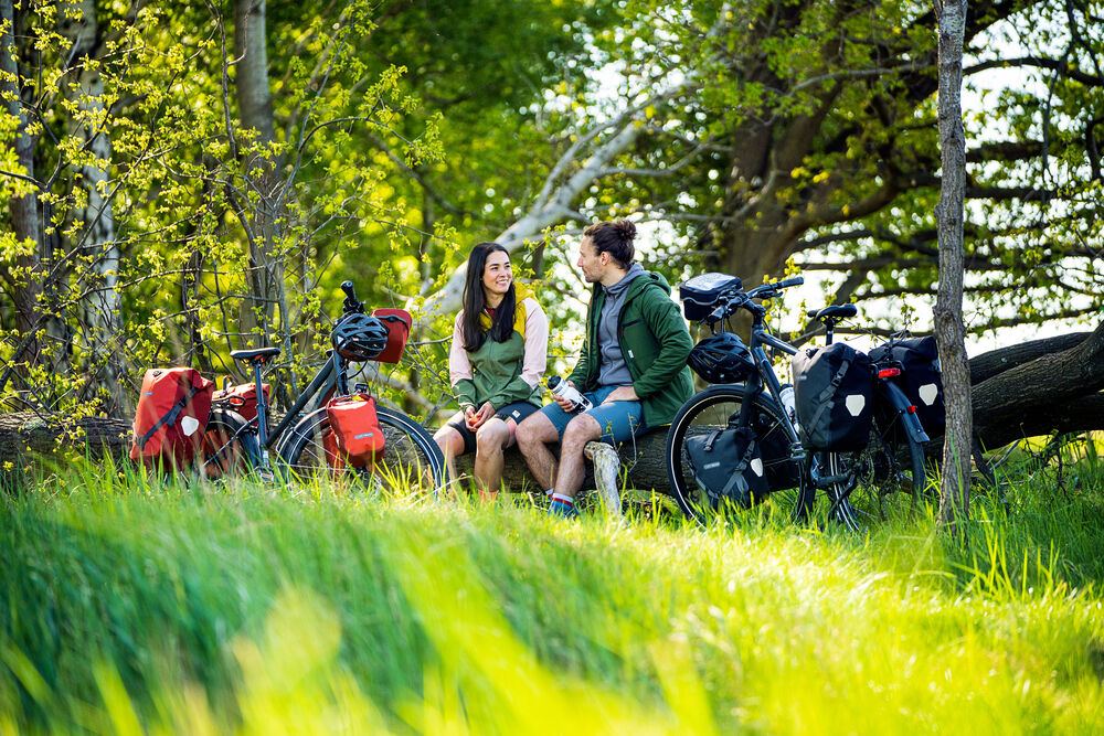 Signal Red - Dark Chili