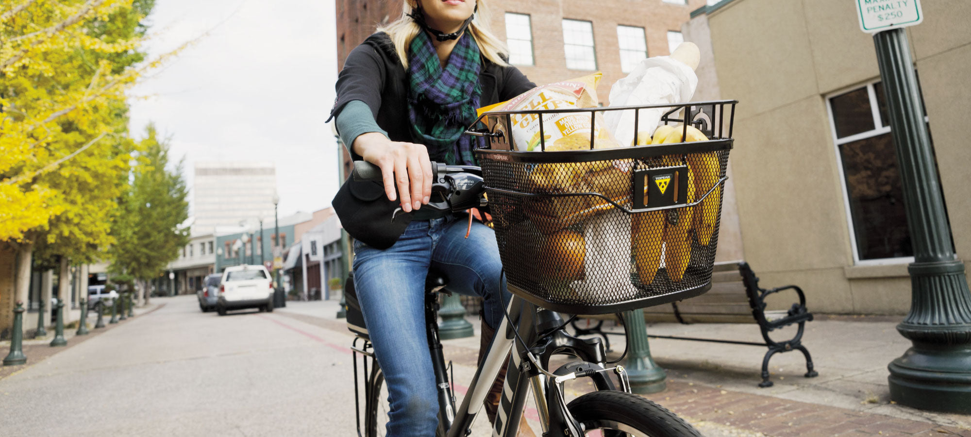 Cesta para bicicleta eléctrica Topeak Fixer 3E