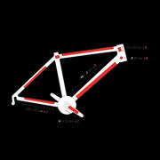 Protection de Cadre Zefal Skin Armor L