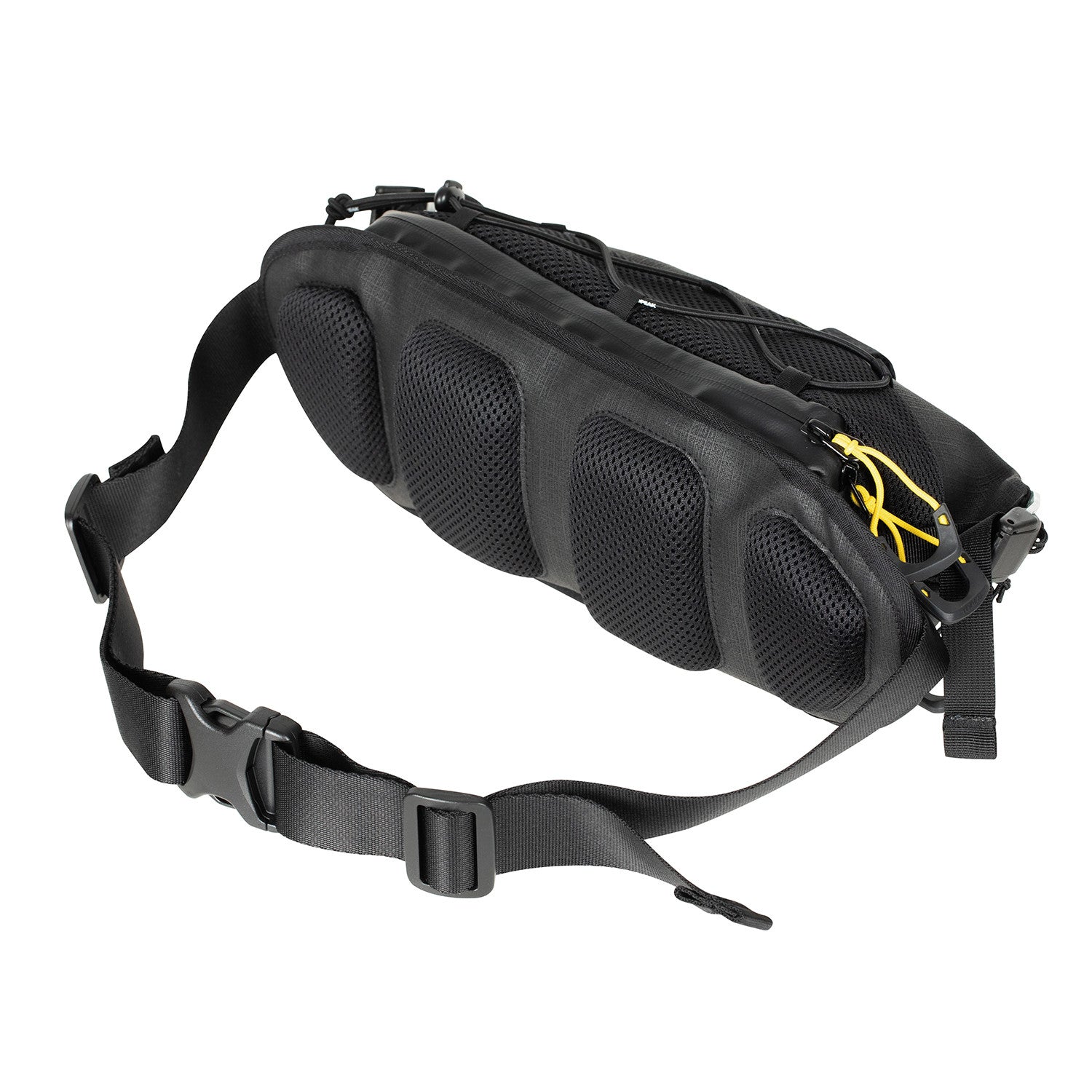 Sac banane bikepacking Hip Pack Topeak