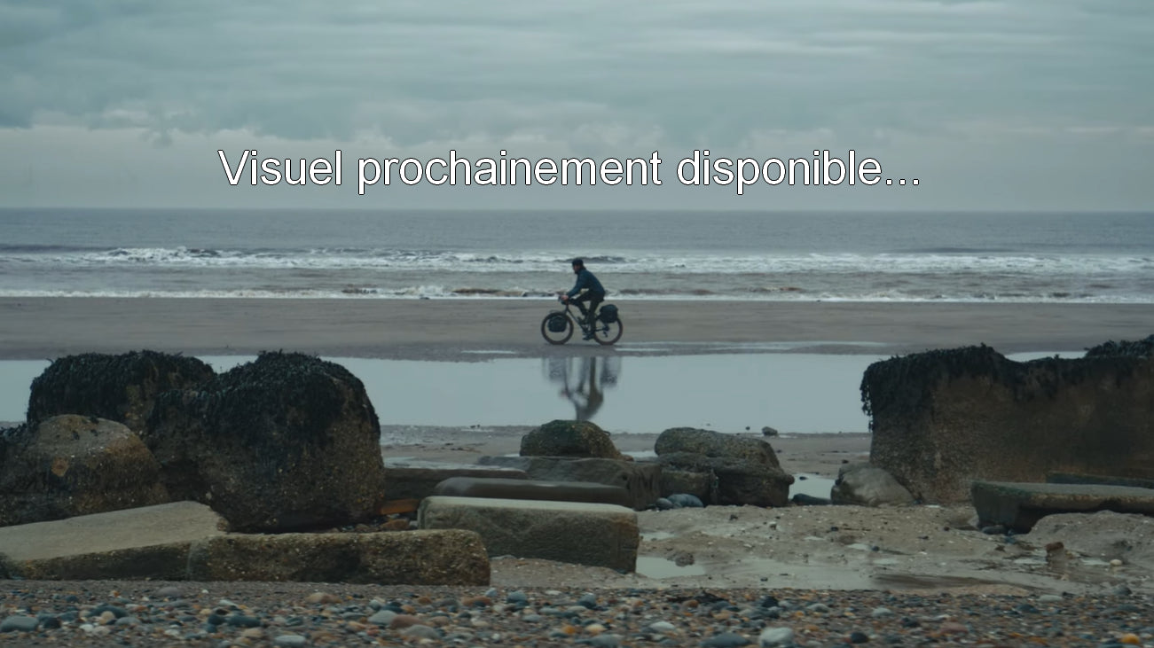 Sacoche Brooks Scape Small Pannier