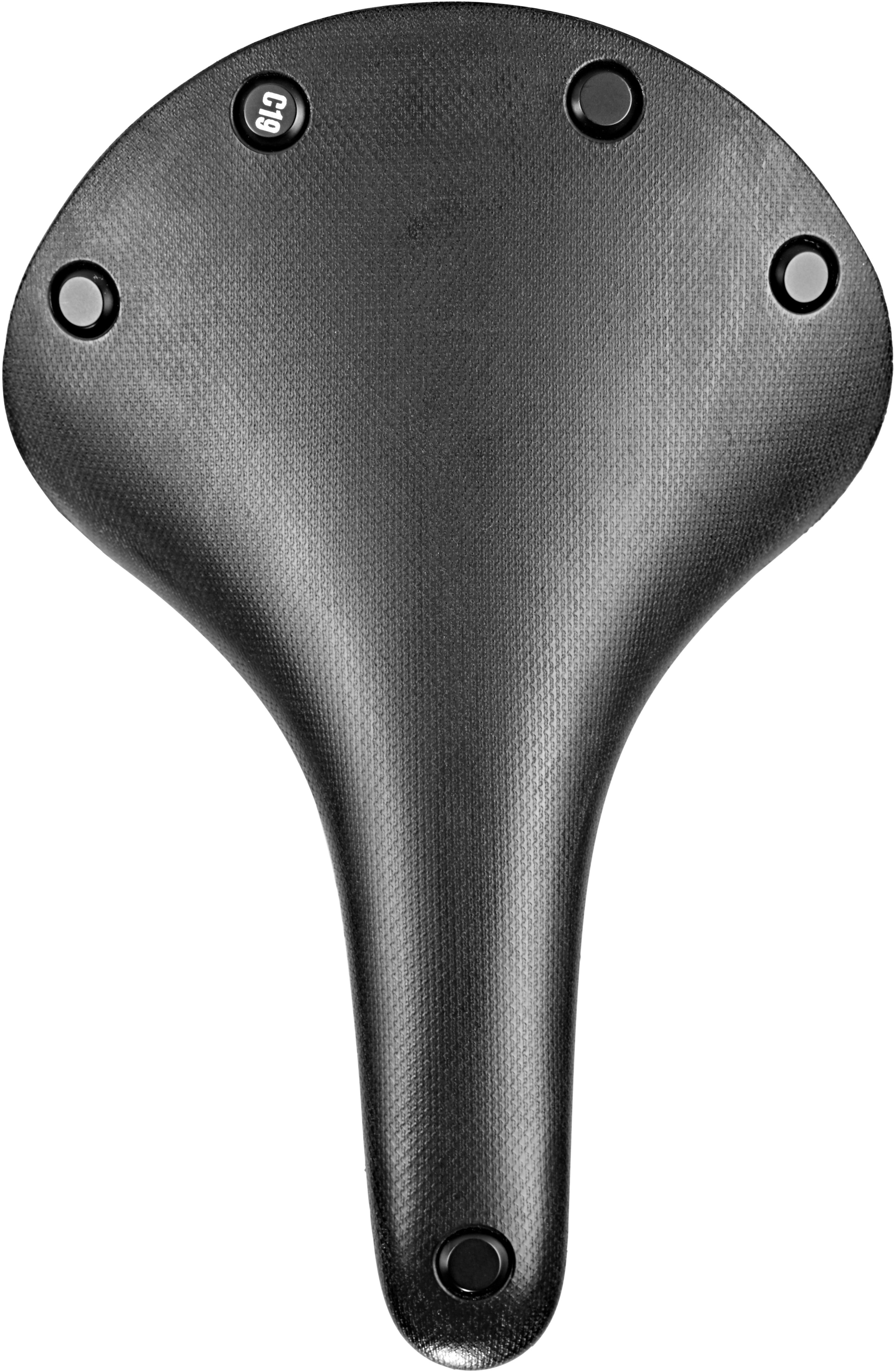 Brooks Cambium C19 saddle