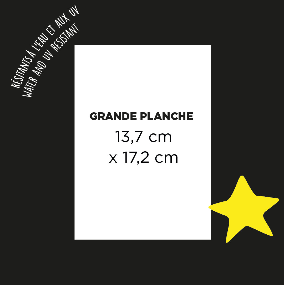 Stickers réfléchissants Rainette