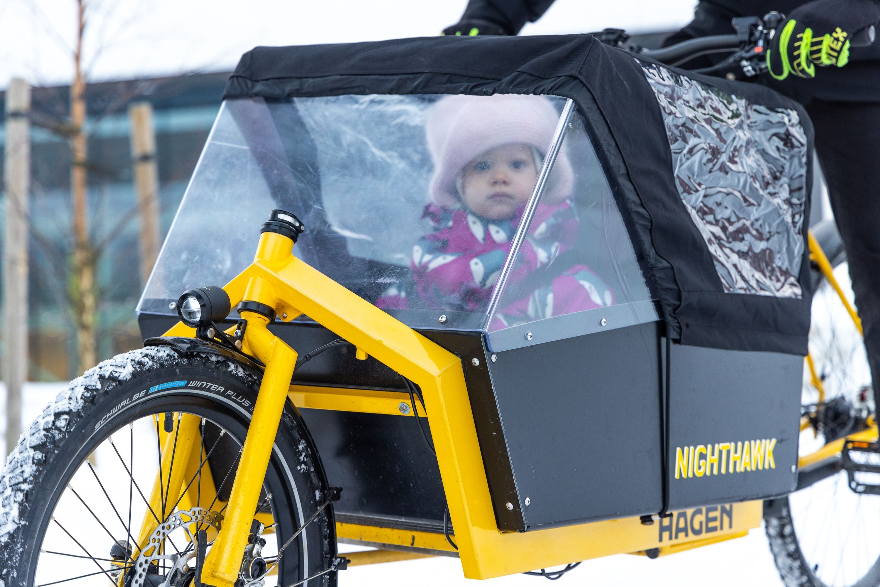 Vélo cargo Hagen Flagship Cargo