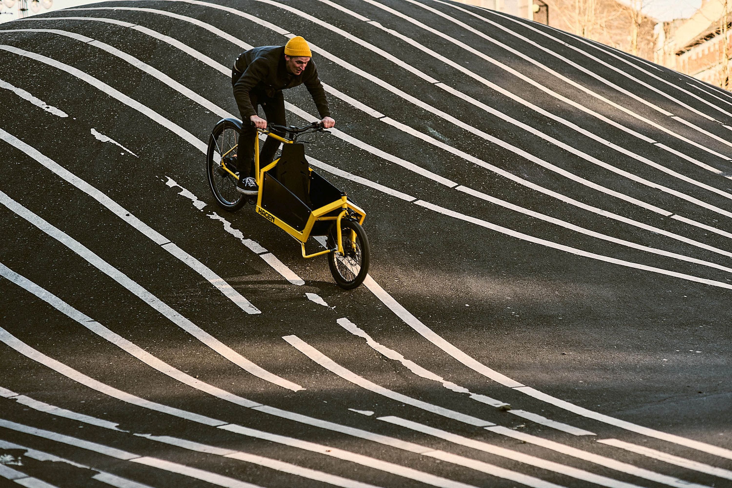 Vélo cargo Hagen Flagship Cargo