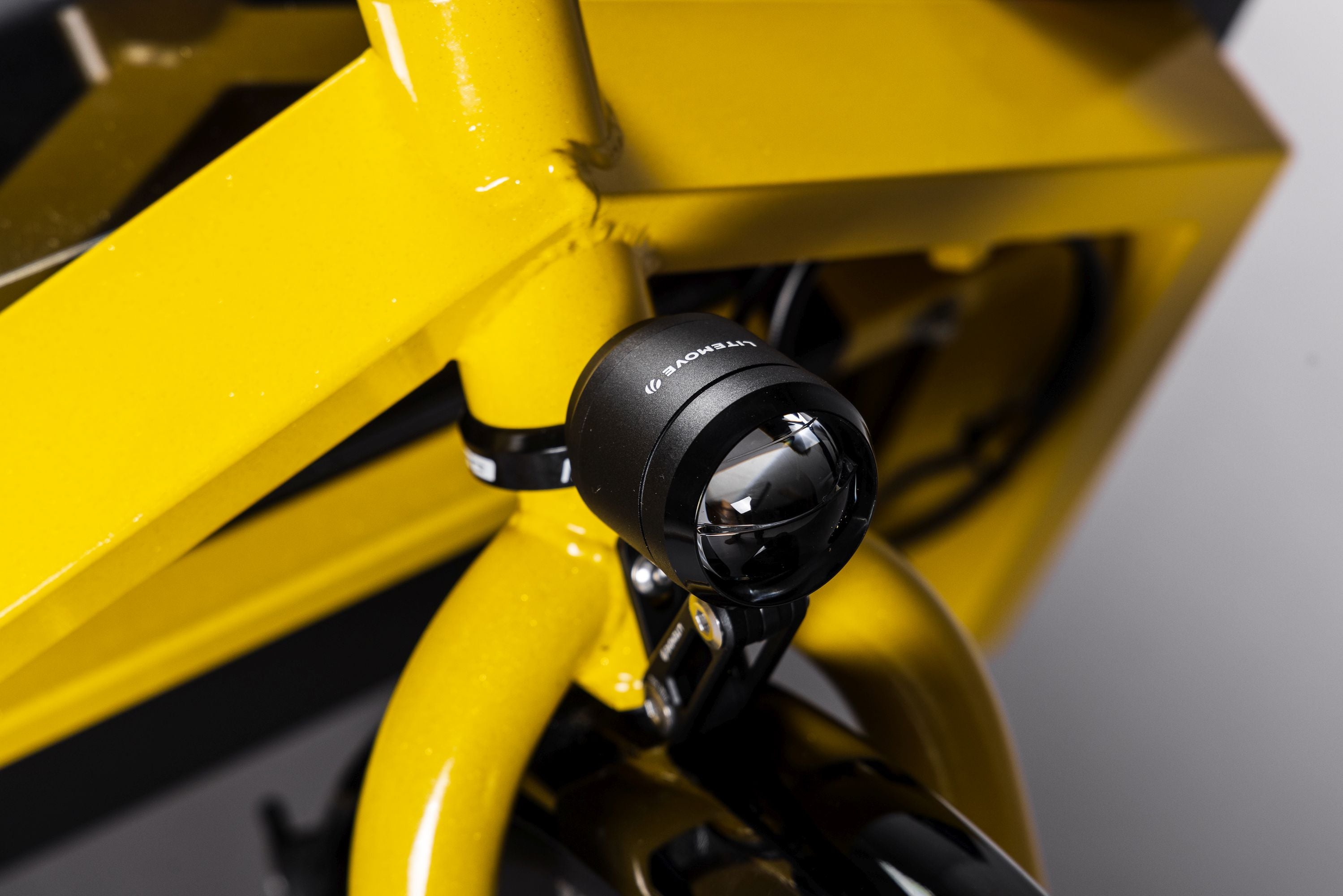 Vélo cargo Hagen Flagship Cargo