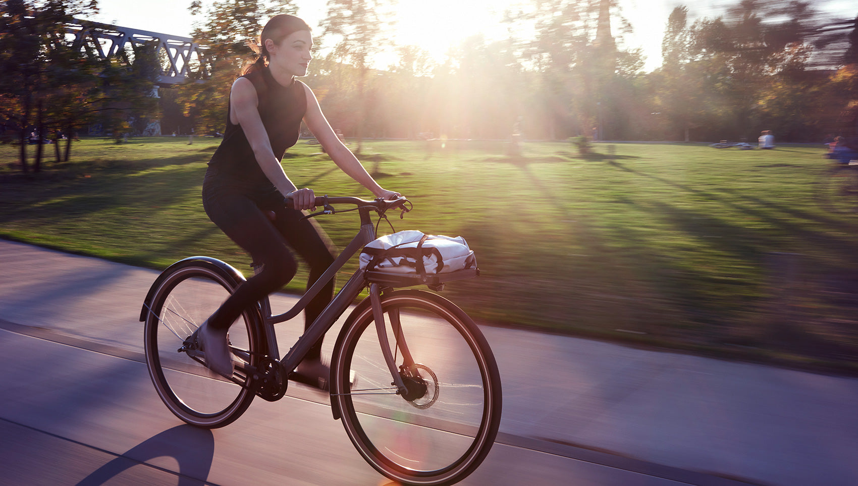 Schindelhauer Greta urban cargo bike