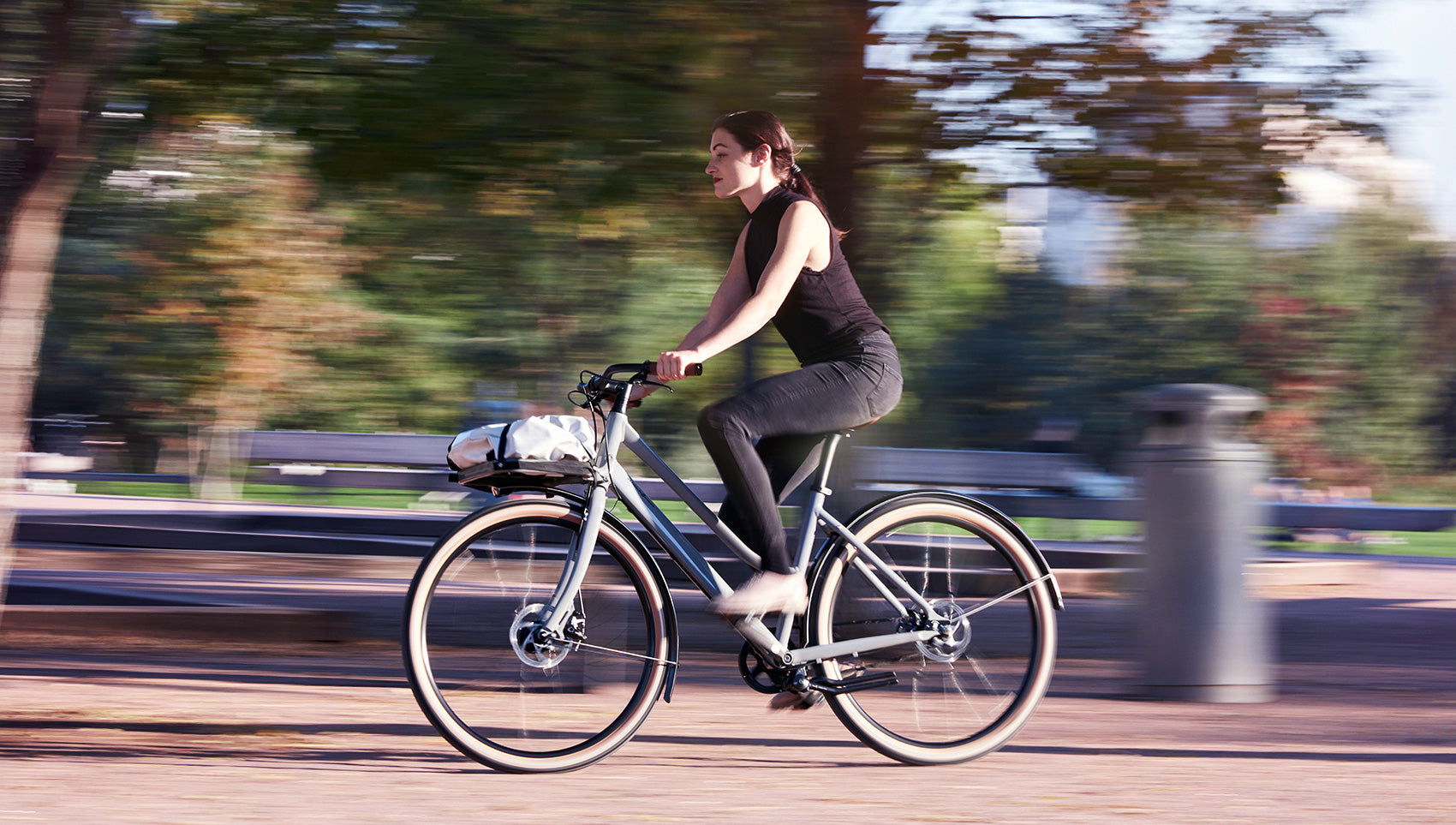 Schindelhauer Greta urban cargo bike