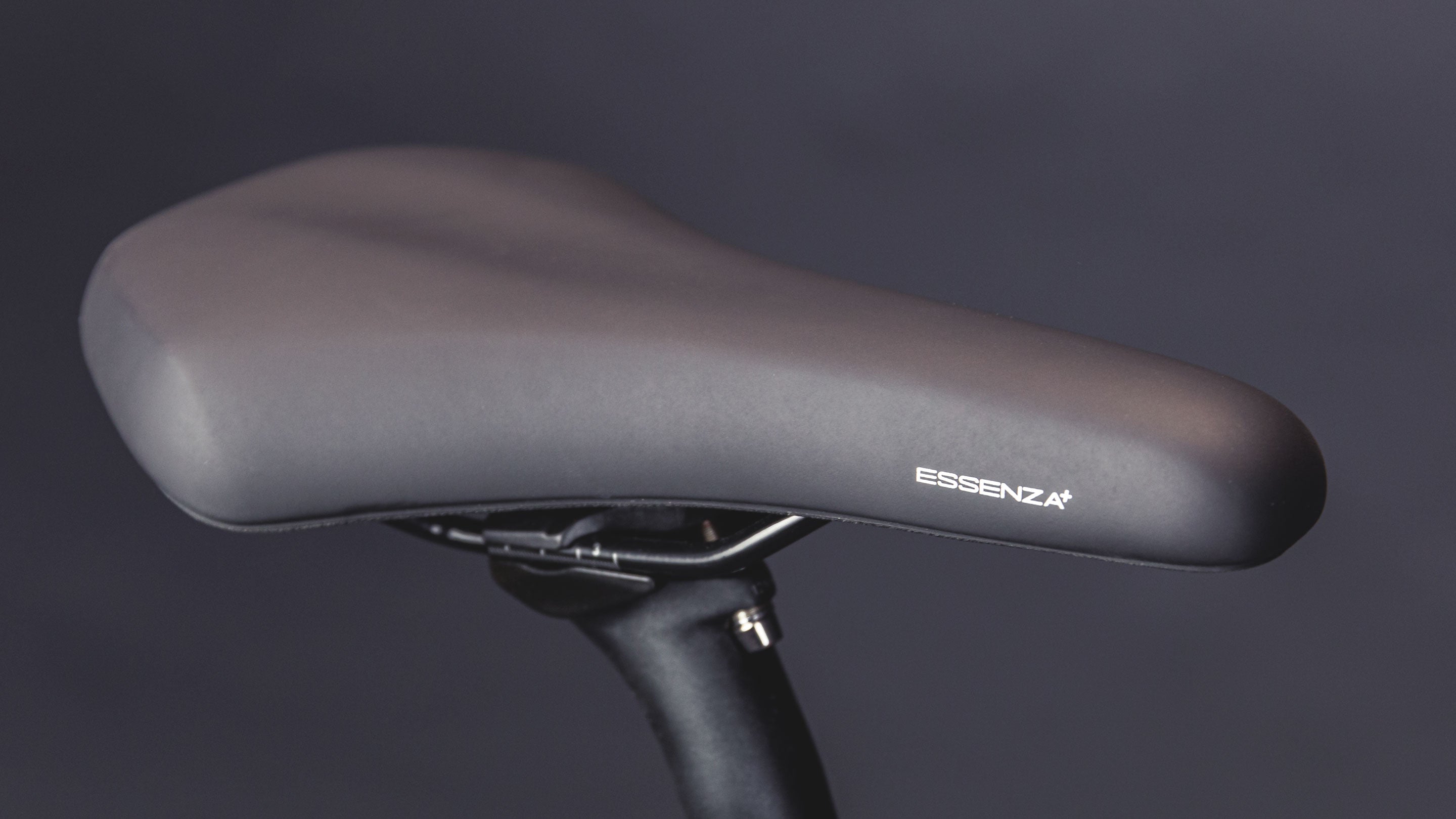 Vélo cargo urbain Schindelhauer Greta Moonlight Rose Limited Edition