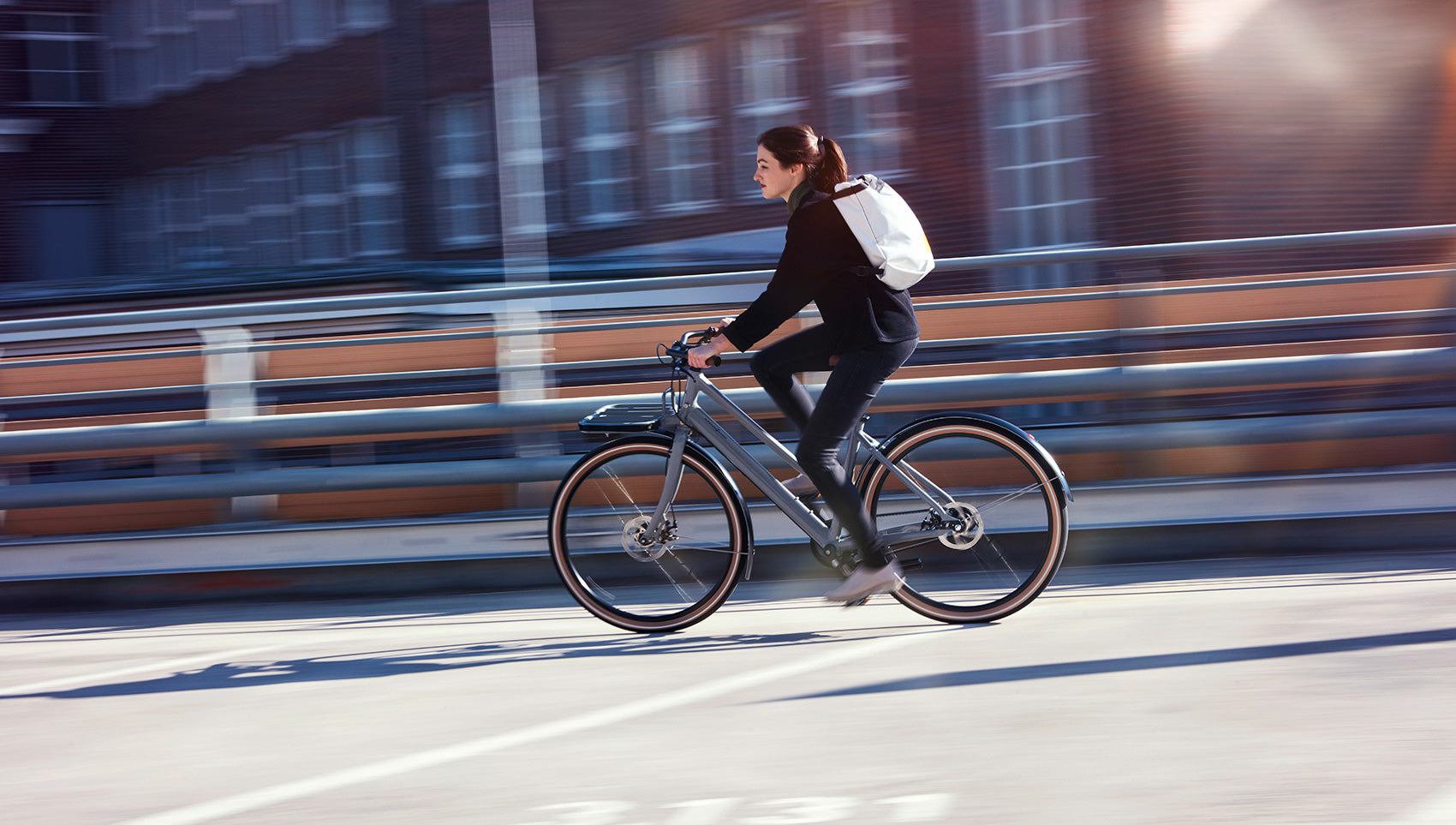 Schindelhauer Greta urban cargo bike