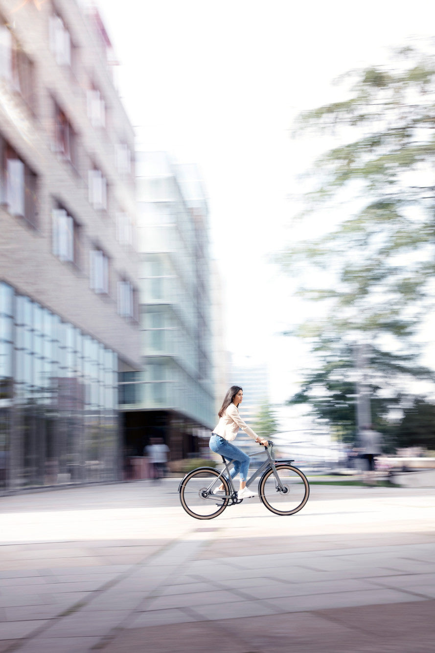 Vélo cargo urbain Schindelhauer Gustav