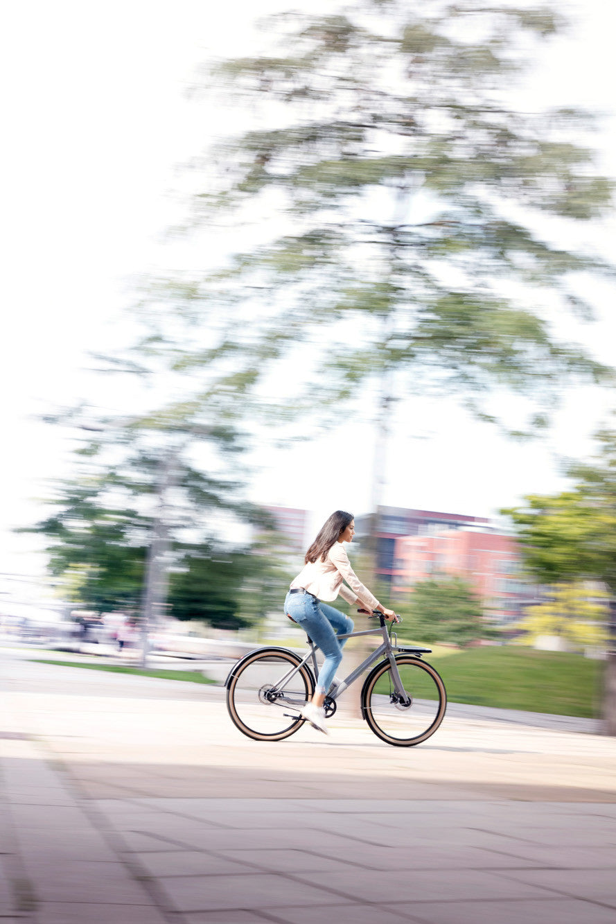 Vélo cargo urbain Schindelhauer Gustav