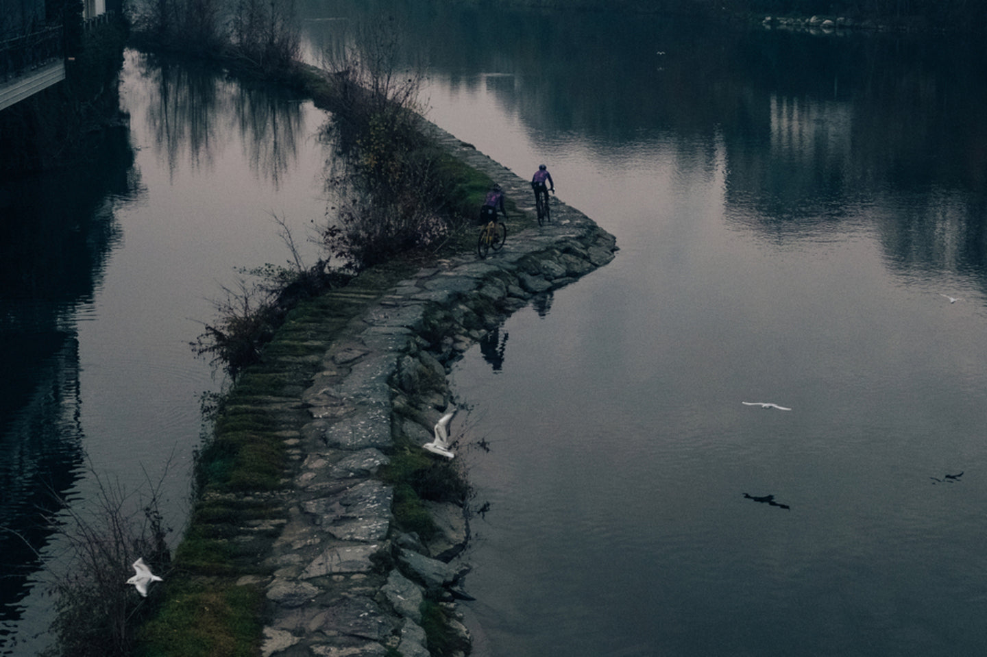 Vélo de gravel Cinelli King Zydeco