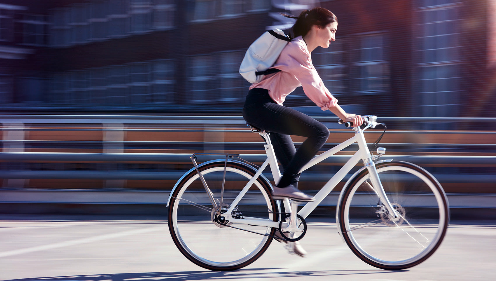 Vélo de ville Schindelhauer Frieda