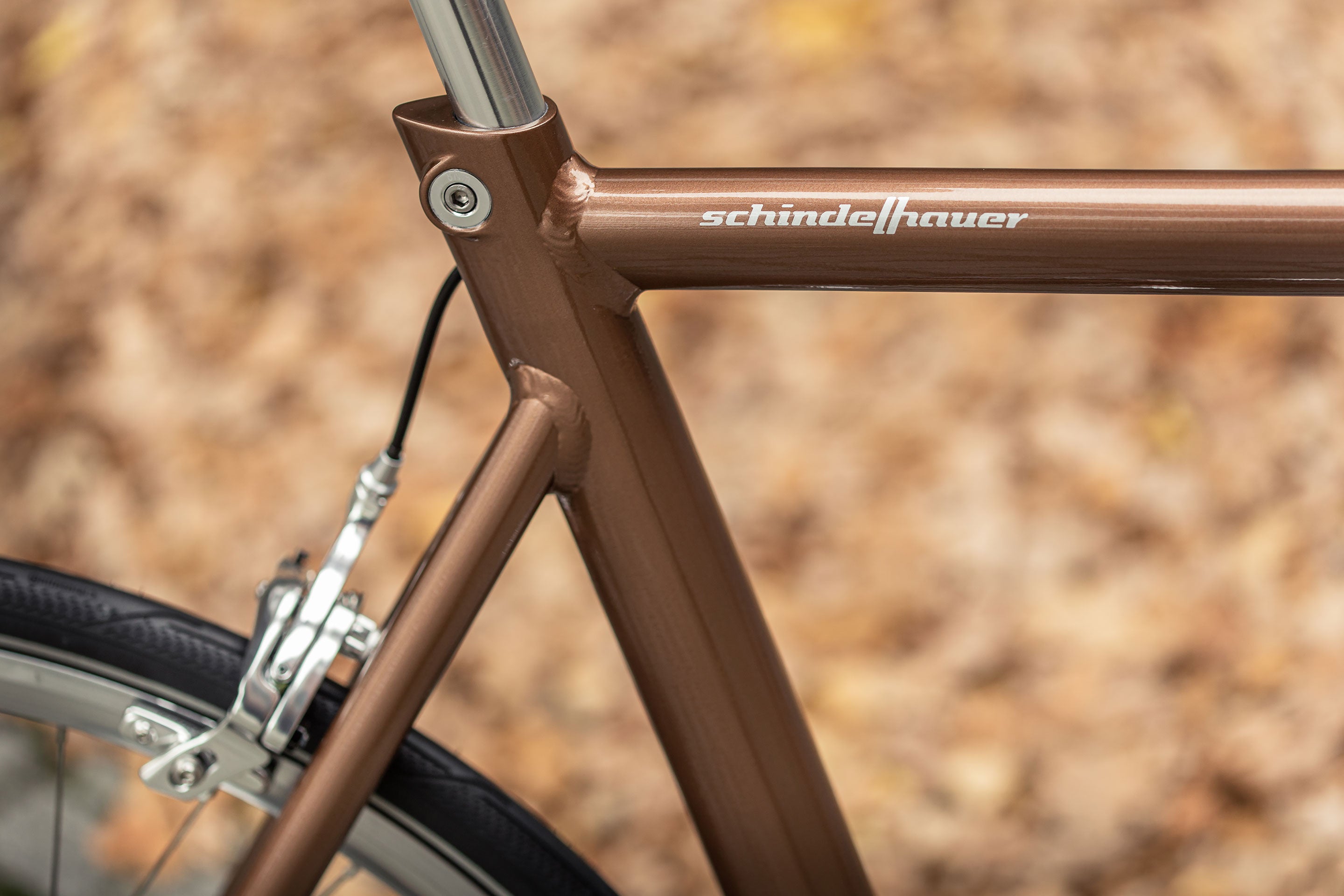 Vélo de ville Schindelhauer Ludwig XI