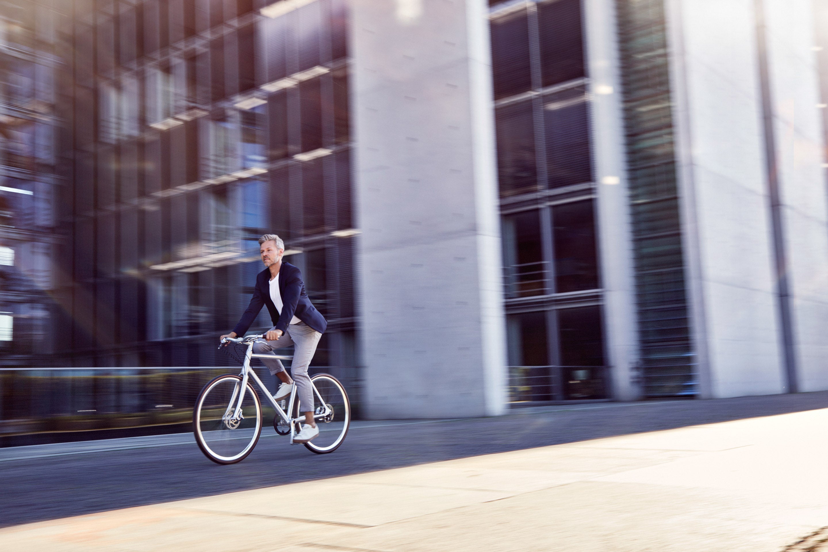 Schindelhauer Wilhelm XIV city bike