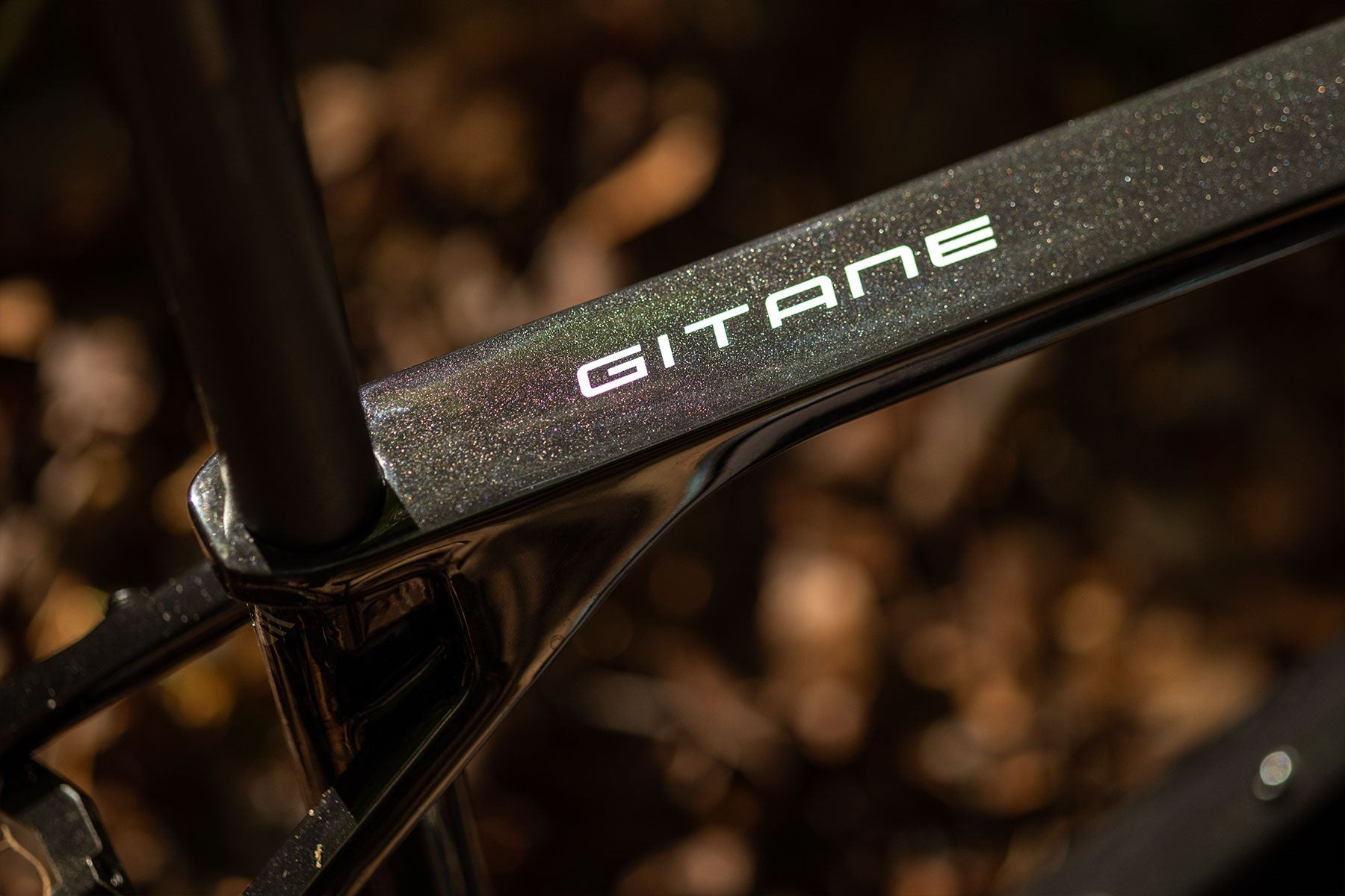 Alpina Carbon Gitane Gravel Bike
