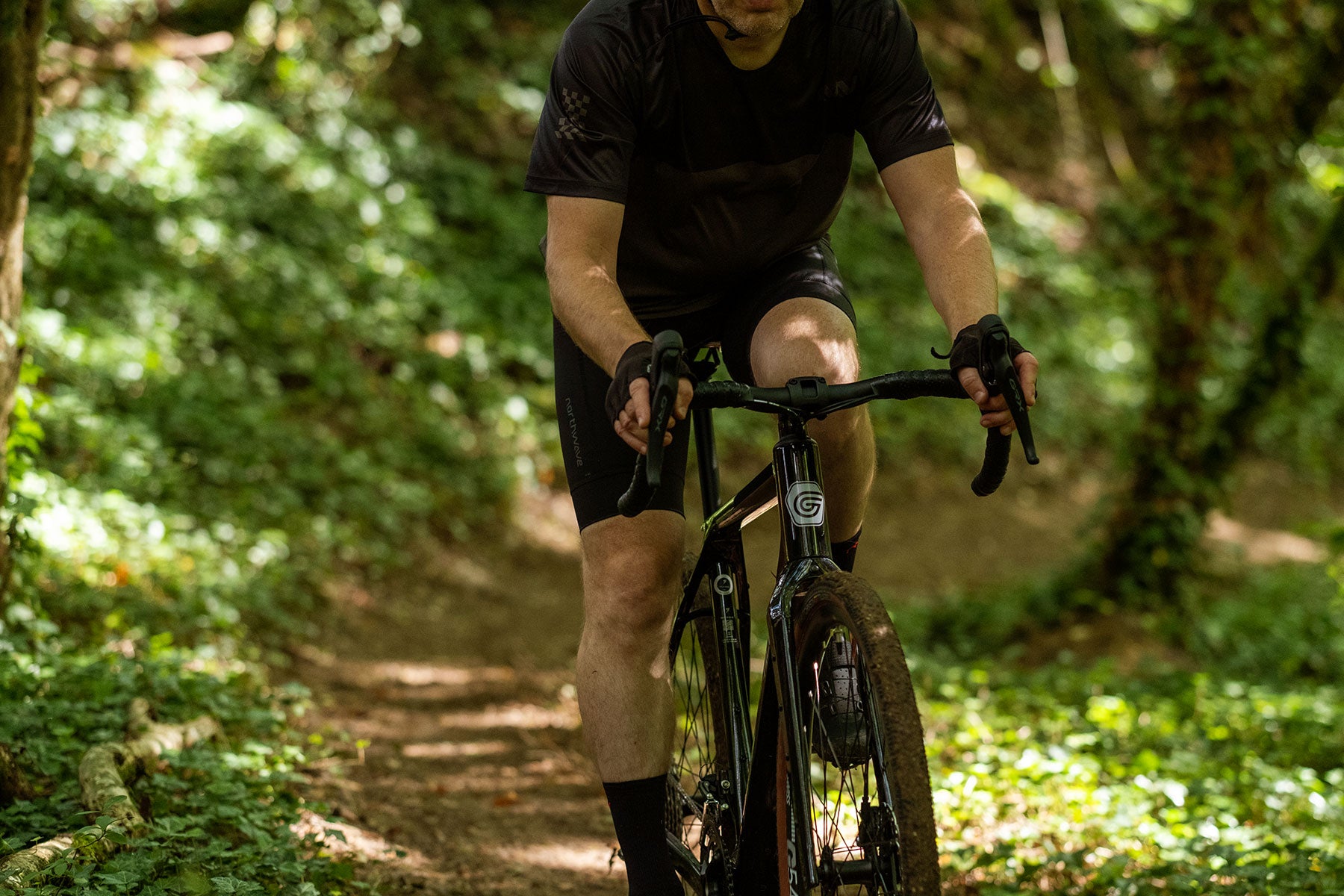 Alpina Carbon Gitane Gravel Bike