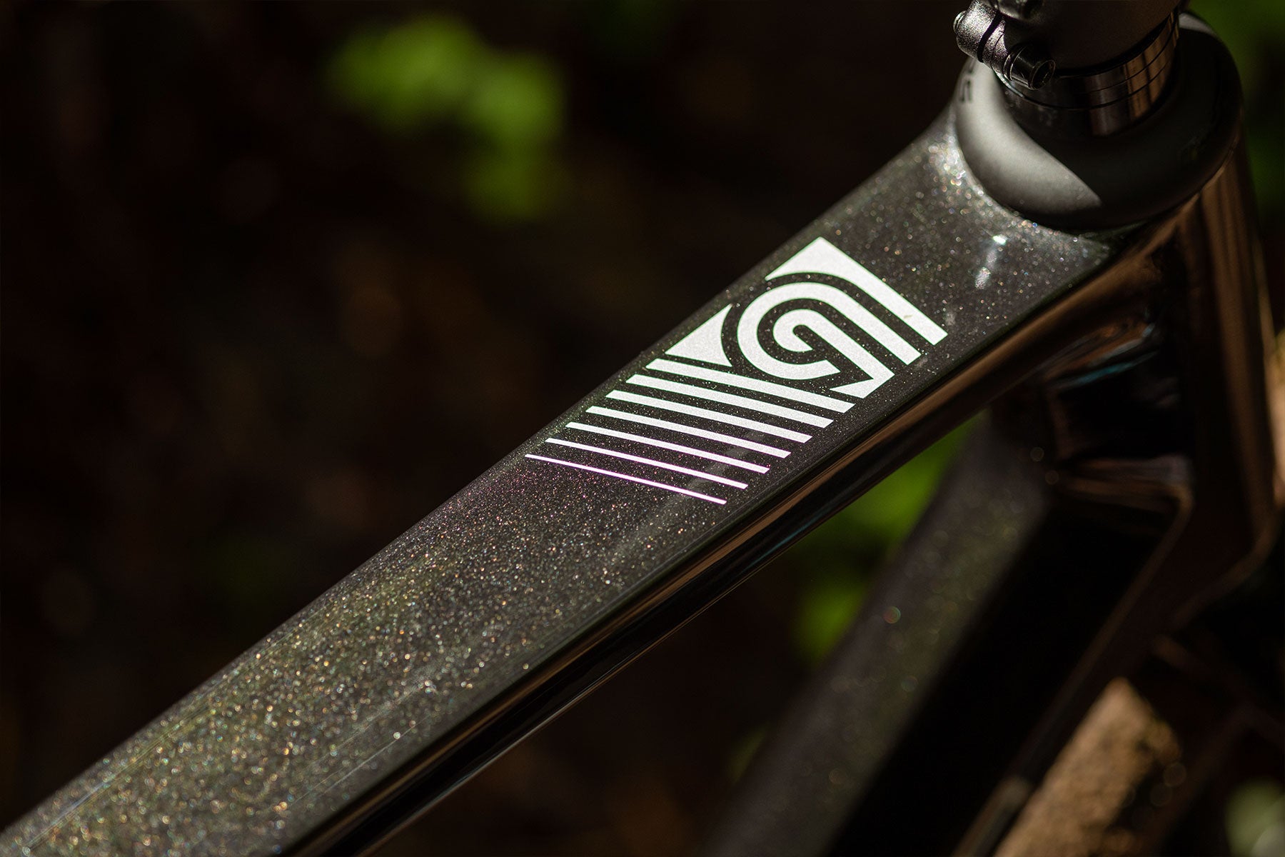 Alpina Carbon Gitane Gravel Bike