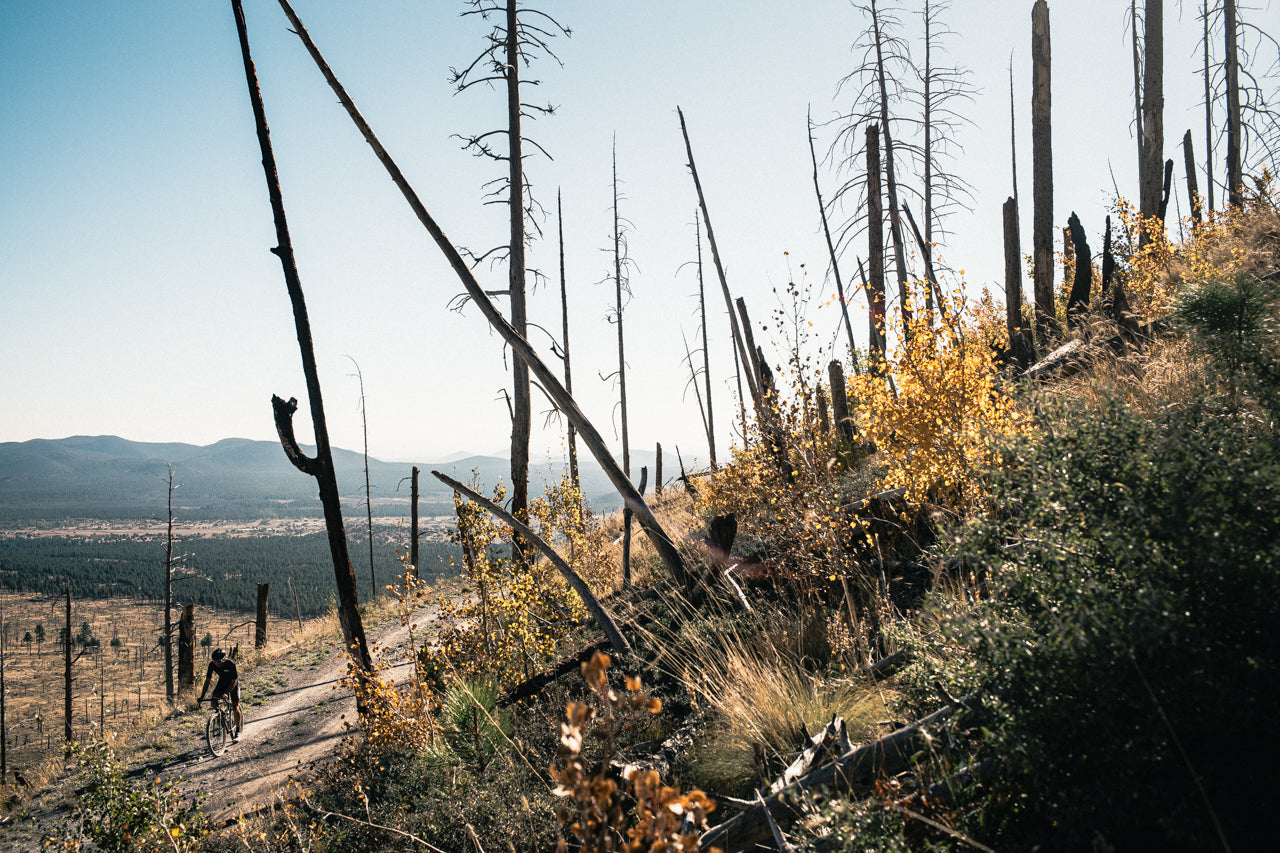 Gravel bike State Bicycle 6061 Black Label All-Road