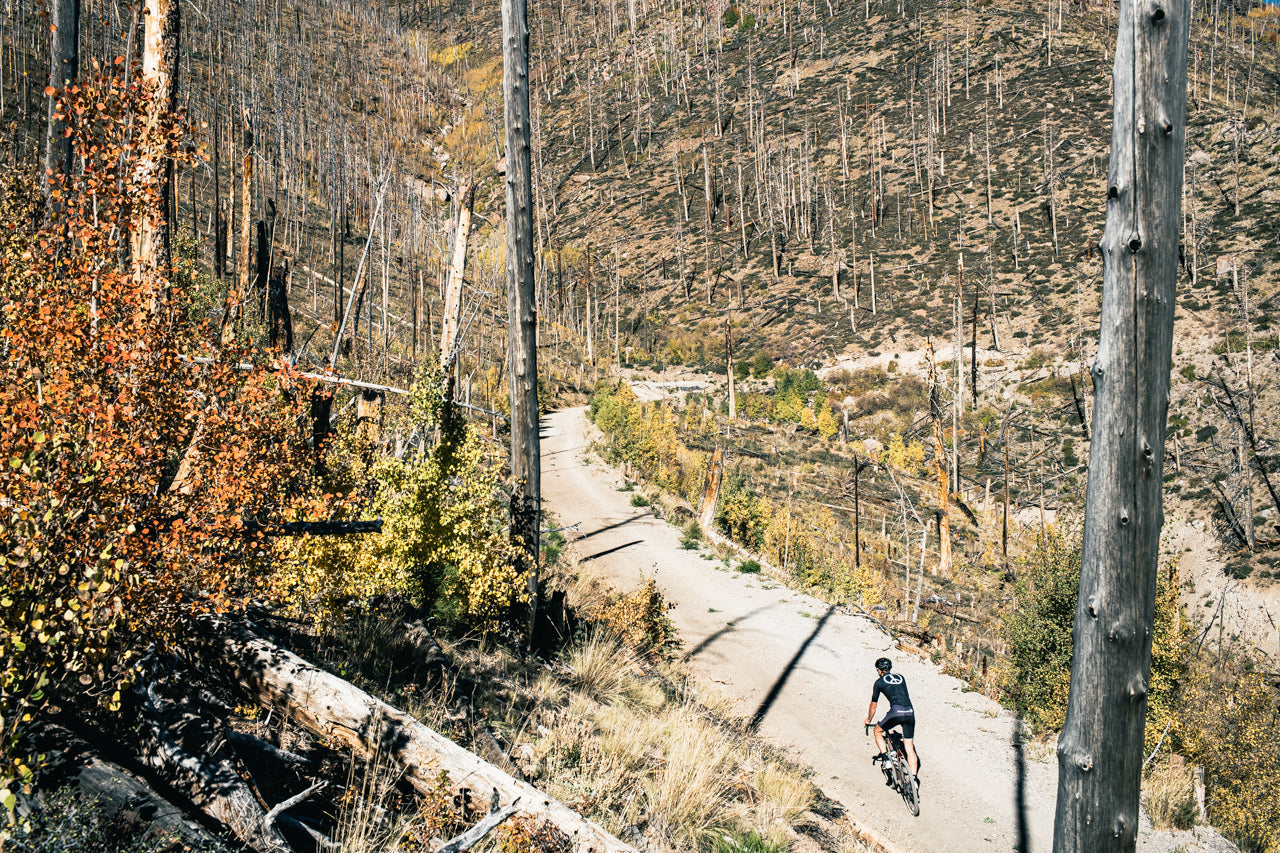 Gravel bike State Bicycle 6061 Black Label All-Road