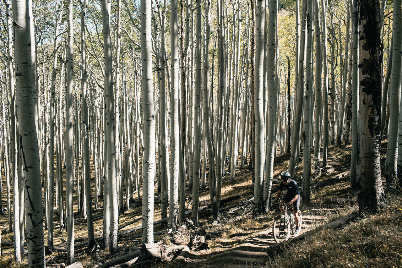 Gravel bike State Bicycle 6061 Black Label All-Road