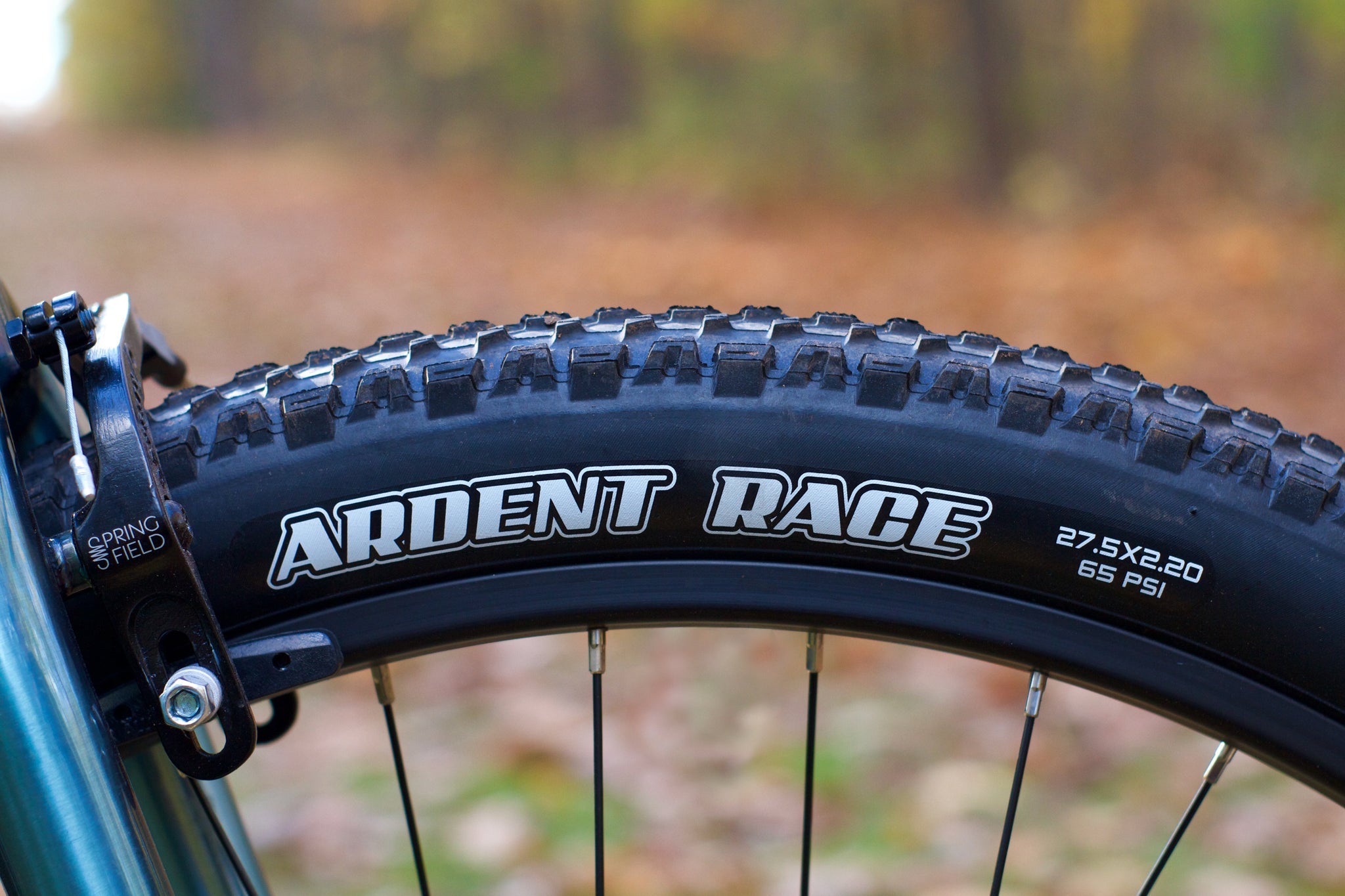 Translucent Winter Blue