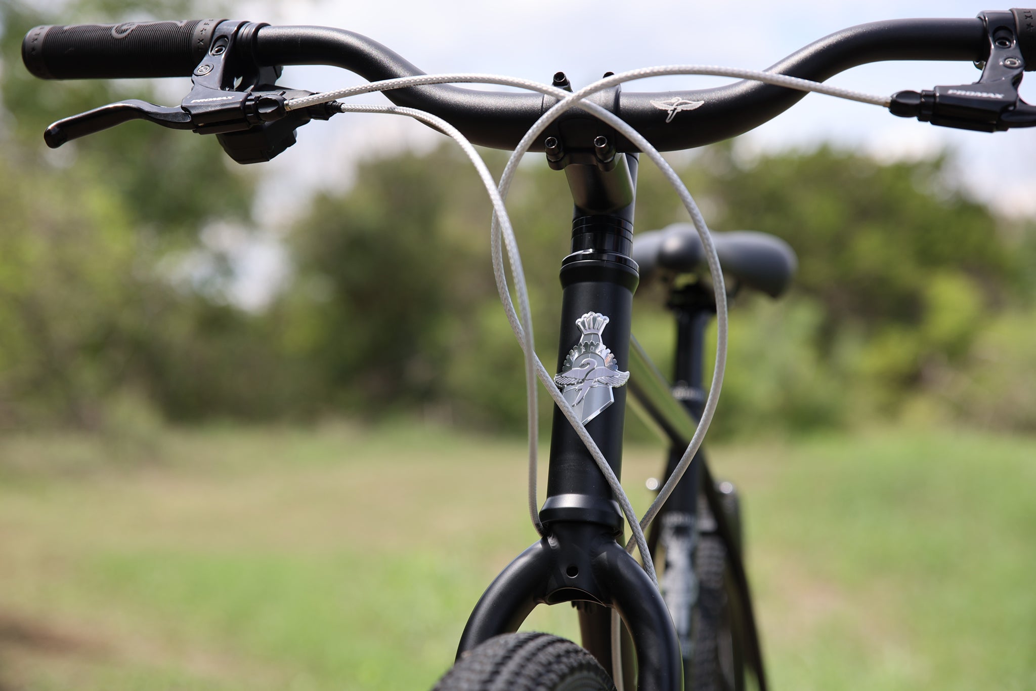 Fairdale Weekender Archer mountain bike