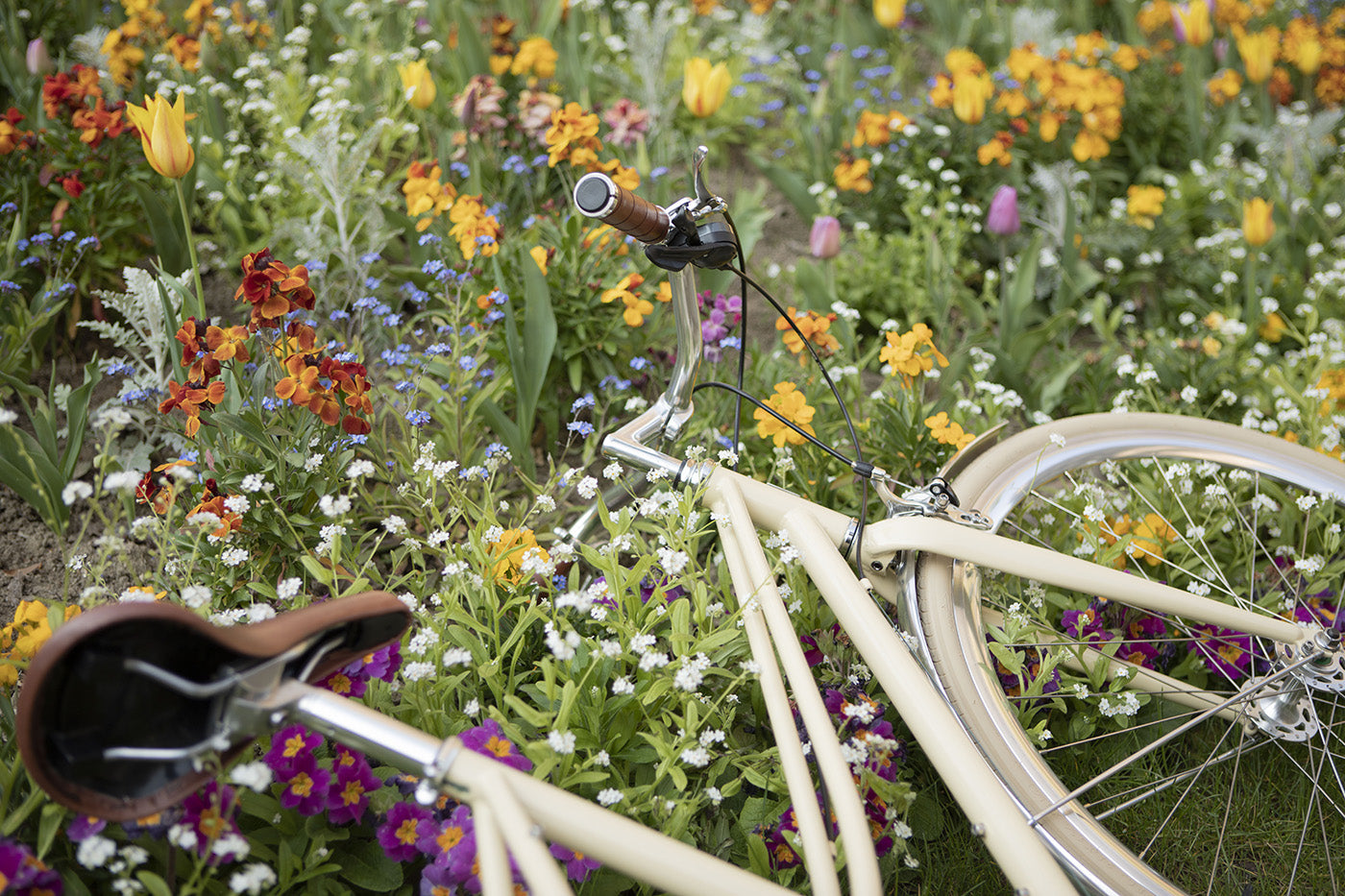 Vélo Urbain InFiné Cycles Flâneuse - Crème