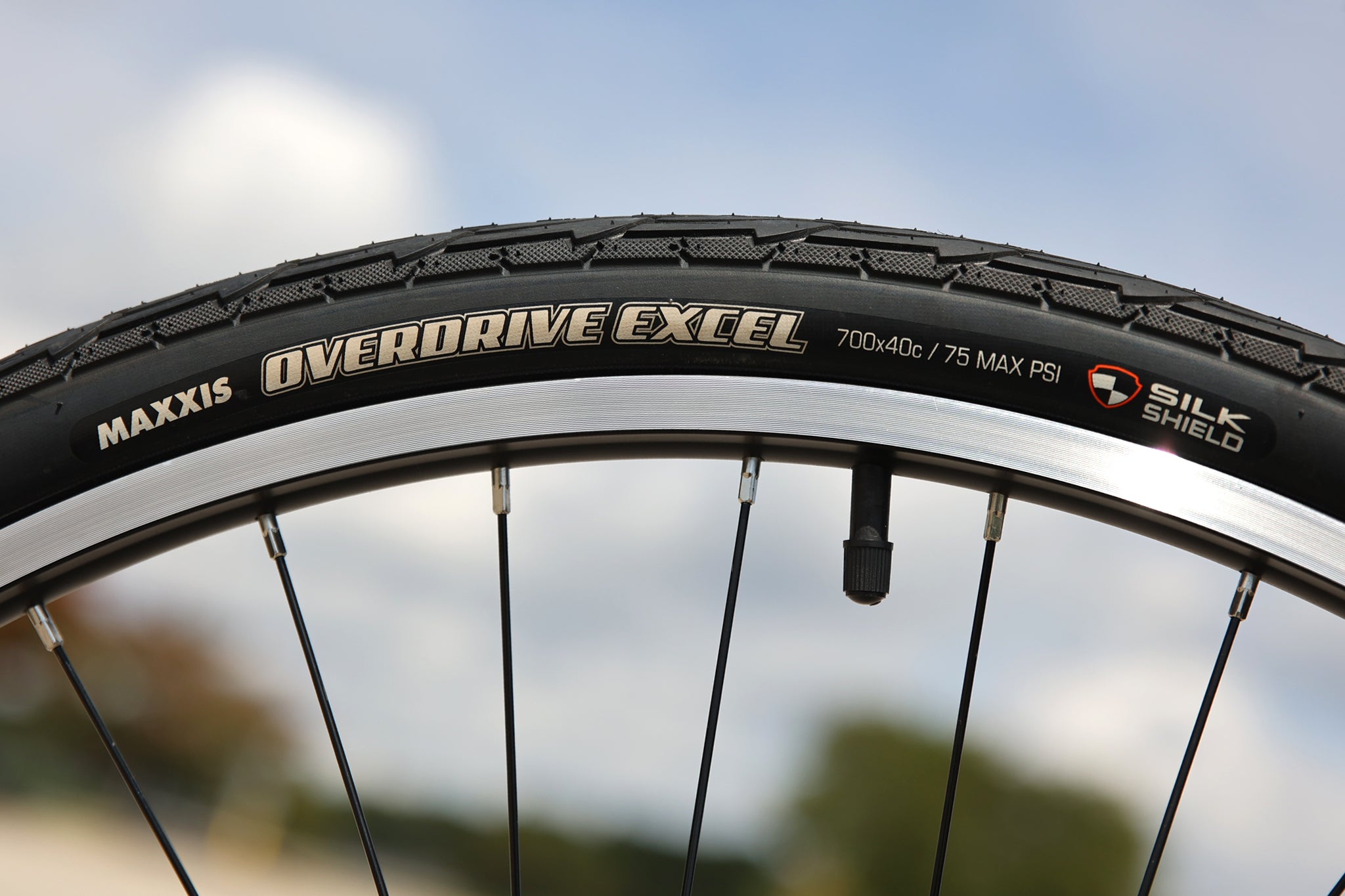 Bicicleta urbana Fairdale Express de una sola velocidad