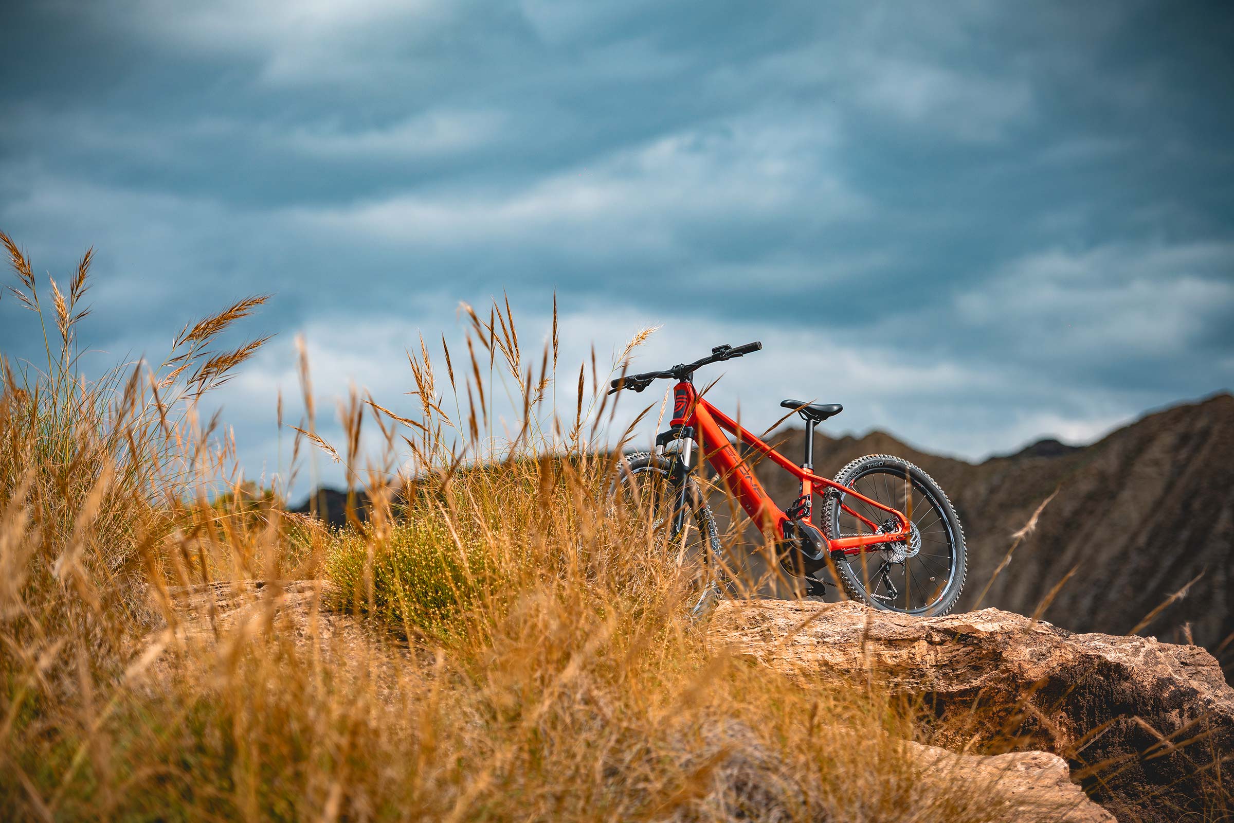 VTT électrique semi rigide G-ONE Redwood 1
